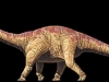 Seismosaurus.jpg
